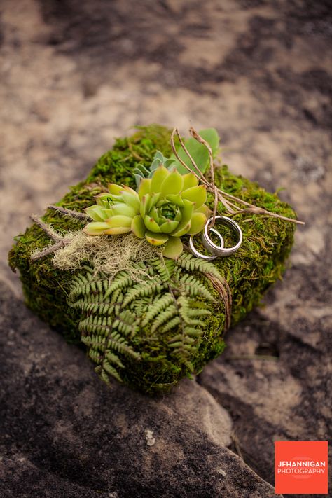 Moss Wedding Centerpiece, Moss Wedding Decor, Moss Wedding, Sunflower Wedding Decorations, Green Wedding Inspiration, Moss Decor, Enchanted Forest Wedding, Flower Decorations Diy, Country Floral