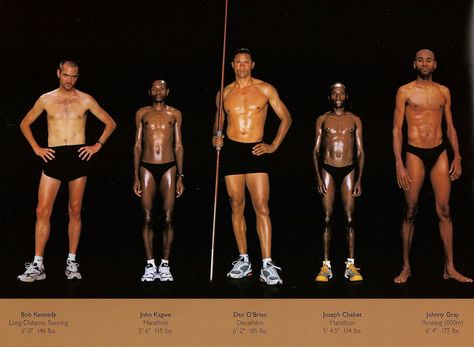 Body types of Olympic athletes Body Types Reference, Men Standing, Long Distance Runner, Distance Runner, Body References, Male Anatomy, Different Body Types, Athletic Body, Anatomy References