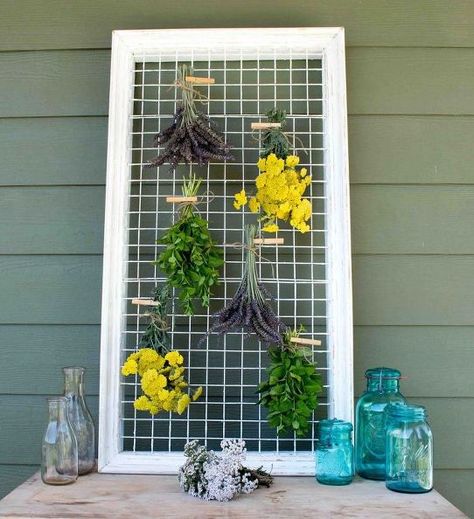 herb drying rack repurposed from a picture frame, gardening, how to, repurposing upcycling Herb Ideas, Herb Drying Rack, Flower Drying, Herb Rack, Herb Drying, Farming Ideas, Love Picture Frames, Towel Tray, Garden Herbs