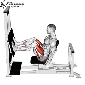 Workout Plan Builder Leg Press Exercises, Leg Workout Exercises, Quadriceps Exercises, Beginners Gym Workout Plan, Leg Press Workout, Strength Training Anatomy, Muscle Booster, Tuesday Workout, Chest Workout Routine