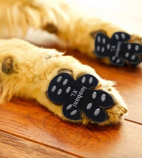 Dog Paw Protection, Dog Space, Dog Paw Pads, Homesick Candles, Bars Of Soap, Summer Walks, Paw Protector, Slippery Floor, Paw Pattern