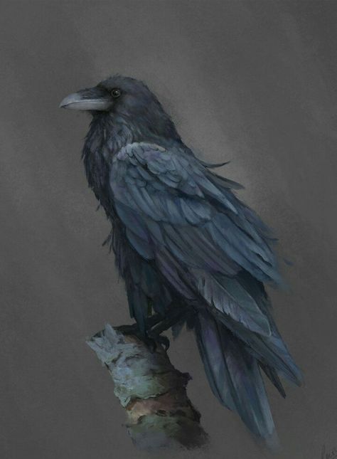 Leesha Hannigan, Raven Reference, Raven Images, Crow Painting, Raven Bird, Crow Tattoo, Crow Bird, Crow Art, Raven Tattoo