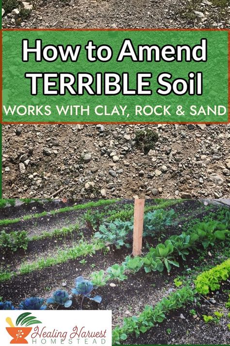 Gardening can be impossible if your soil just isn't up to snuff. This is how my husband and I amended the worst soil in the world! Here's our top 5 tips on how you can amend your soil too. You can have a beautiful garden this summer, so make sure you start off on the right foot! #worms #fixingsoil #badsoil #gardeninghacks #gardening101 Amending Clay Soil, Vegetable Garden Soil, Orchard Garden, Side Yard Landscaping, North Garden, Clay Soil, Soil Improvement, House Plants Indoor, Growing Herbs