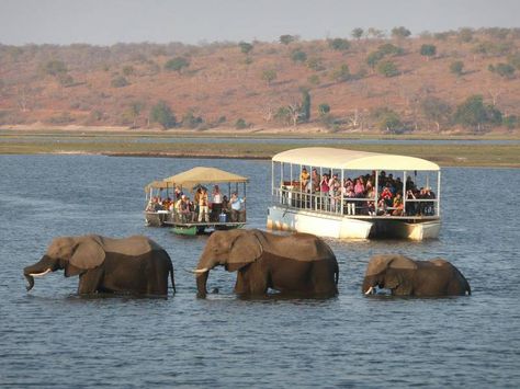 Are You Planning For #VictoriaFallsDayTrips To Find A Dream Trip Luxury African Safari, River Hotel, Chobe National Park, Zambezi River, River Lodge, Largest Waterfall, Livingstone, Wildlife Safari, Victoria Falls