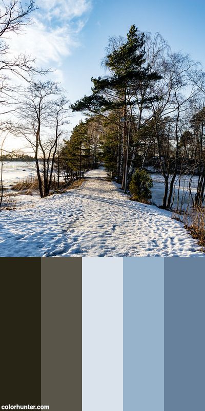 Finland Color Palette, Grade 9, Snow Tree, Color Scheme, Finland, Color Combinations, Color Block, Color Schemes, Color Palette