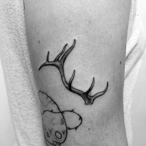 90 Elk Tattoo Ideas For Men - Cervidae Animal Designs Elk Shed Tattoo, Small Elk Tattoo, Bull Elk Tattoo, Elk Tattoo Men, Elk Antler Tattoo, Deer Antler Tattoos, Antler Tattoos, Nature Sleeve, Elk Tattoo