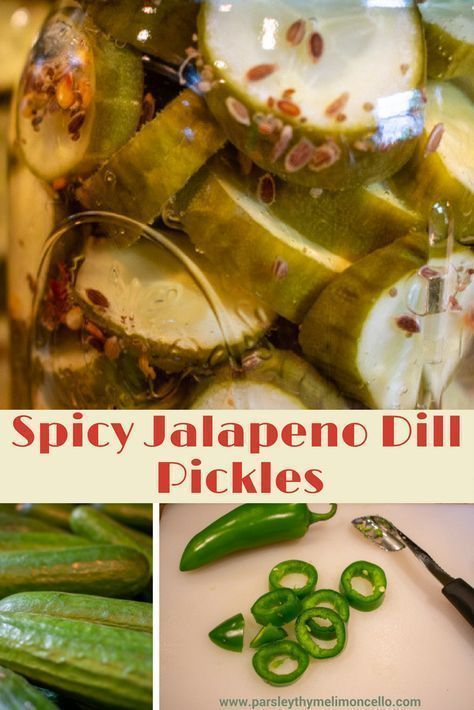 Canning Spicy Pickles, Garlic Dill Refrigerator Pickles, Pickles Homemade Easy, Spicy Pickle Recipes, Canning Pickles Recipe, Easy Dill Pickles, Refrigerator Pickles Dill, Garlic Dill Pickles, Quick Pickles