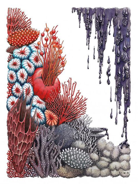 Coral Reef Drawing, Coral Drawing, Stephanie Kilgast, Coral Reef Art, Ocean Acidification, Arte Steampunk, Sea Plants, Coral Art, Upcycled Art