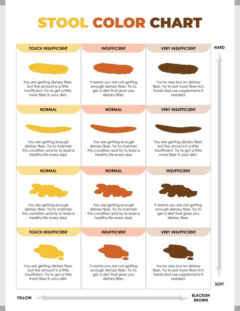 Download our Bristol Stool Chart to easily categorize stool types and understand digestive health.


Designed by @wordlayouts Stool Color Chart, Bristol Stool, Stool Chart, Bristol Stool Chart, Printable Chart, Fiber Rich, Dietary Fiber, Digestive Health, Bristol