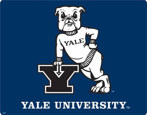 Yale!!!!! Yale Aesthetic, Yale Acceptance, Ivy League Acceptance, Future University, Yale College, Bulldog Images, Yale Bulldogs, Dream University, College Vision Board