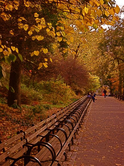 RIVERSIDE PARK, NYC, AUTUMN by Susan Tammany Riverside Park Nyc, Nyc Autumn, Vacation Adventures, City Pics, Travel Nyc, Fall Vacation, Beautiful Parks, Nyc Fall, Riverside Drive