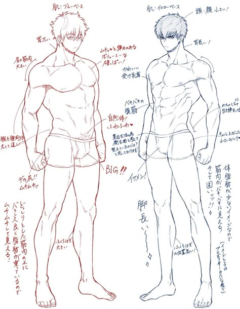 남성 근육, Male Art Reference, Human Anatomy Drawing, Body Drawing Tutorial, Images Kawaii, Human Anatomy Art, Body Reference Drawing, Sketches Tutorial, Concept Art Drawing