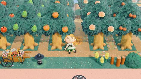 An in game photo from Animal Crossing New Horizons. A character is sitting in front of a densely packed fruit orchid. It’s boarder has wooden posts, a flower cart, outdoor lantern and a yellow hyacinth. The character in the photo is blonde with its hair in a bun and is wearing an alpine dress in green. Island Design, Animal Crossing, Make Me Smile, Orchids, Dinosaur Stuffed Animal, Custom Design, Toys, Animals, Quick Saves