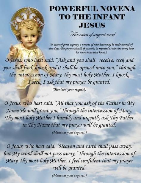 Infant Jesus Novena, Novena Prayers, Infant Jesus, Seek Me, Baby Jesus, Knock Knock, Jesus