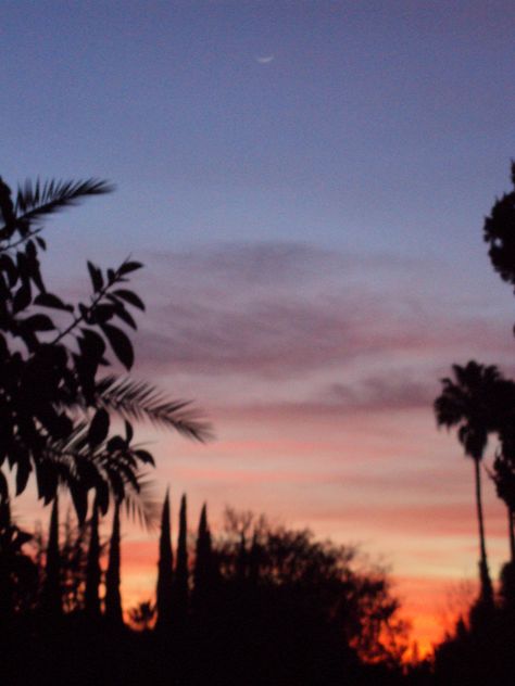 Sunset, Encino, California Encino California, Los Angles, Long Beach California, Just Black, 2022 Vision Board, Beach California, White Wall, Long Beach, Black Paint