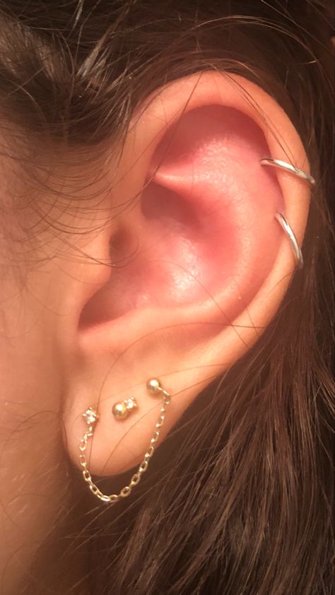 3 Lobe 2 Helix Piercing, Double Helix Triple Lobe, Triple Lobe Double Helix Piercing, Double Helix Piercing Jewelry, Triple Earring Combinations, Three Ear Piercings Lobe, Double Helix Piercing Hoop, Triple Lobe And Helix Piercing, Double Lobe And Helix Piercing