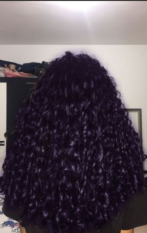 Dark Purple Hair Color On Black Women, Dark Purple Straight Hair, Colors To Dye Hair For Brunettes, Dark Purple On Curly Hair, Curly Hair Dye Purple, Curly Hair Dark Purple, Midnight Dark Blue Hair Curly, Dark Dyed Curly Hair, Dark Purple Curly Hair Black Women