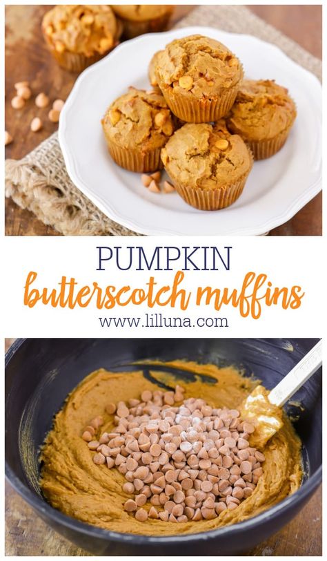 Pumpkin And Butterscotch, Pumpkin Butterscotch Cake, Butterscotch Scones Recipe, Pumpkin Chip Muffins, Butterscotch Chip Muffins, Pumpkin Butterscotch Bread, Butterscotch Pumpkin Muffins, Butterscotch Muffins Recipe, Recipes With Butterscotch Chips