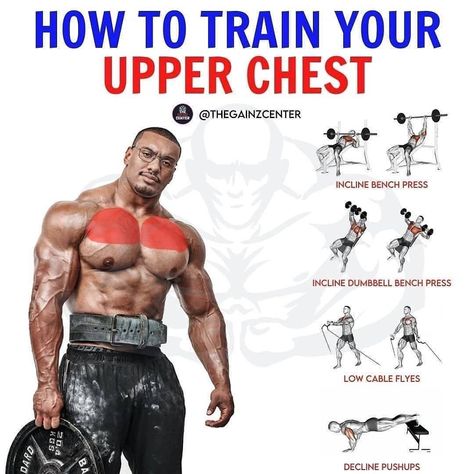 all_workout_tips 🇺🇸 on Instagram: “🔴 COMPLETE CHEST EXERCISES - UPPER/LOWER CHEST By thegainzcenter ———————————————————————⁣⁣⁣⁣ ➡️ Give this post a ♥️ if you learnt something…” Upper Chest Exercises, Big Chest Workout, Dumbbell Chest Workout, Chest Workout At Home, Chest Workout Routine, Best Shoulder Workout, Chest Exercises, Best Chest Workout, Hour Workout