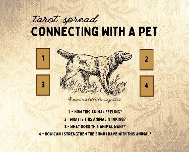 #Tarot #TarotReading #Astrology #AstrologyReading #Divination #Magic #Witchcraft #TarotCards #Horoscope #Mystic #Spirituality #FortuneTelling Funny Tarot Spreads, Pet Tarot Spread, Shadow Work Tarot Spread, Pet Tarot, Planet Astrology, Divination Magic, Oracle Spreads, Tarot Card Layouts, Tarot Guidebook