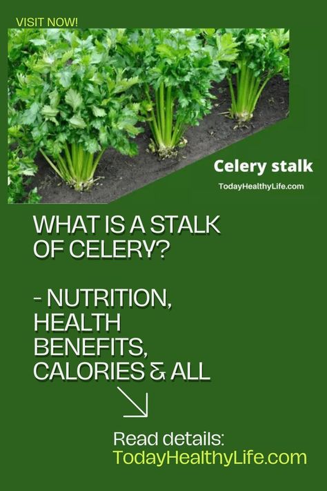 What is a stalk of celery- nutrition, health benefits, calories & all Iron Enriched Foods, Celery Plant, Fenugreek Leaves, Celery Juice, Natural Diet, Beauty Vitamins, Nutrition Health, Health Diet, Pros And Cons