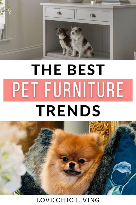 If you’re ready to transform your space into a paw-fect home foryour fur-kids, there are plenty of ways to get started. From dedicated pet rooms and cat houses to dog gates and litter box storages, these luxury pet furniture design trends will make it easier than ever to provide your pets with a comfortable pet beds that look great with your home! Stylish Pet Furniture, Cat Litter Box Ideas, Pet Rooms, Luxury Pet Furniture, Litter Box Ideas, Pet Furniture Dog, Ikea Cat, Leather Dog Bed, Stylish Dog Beds