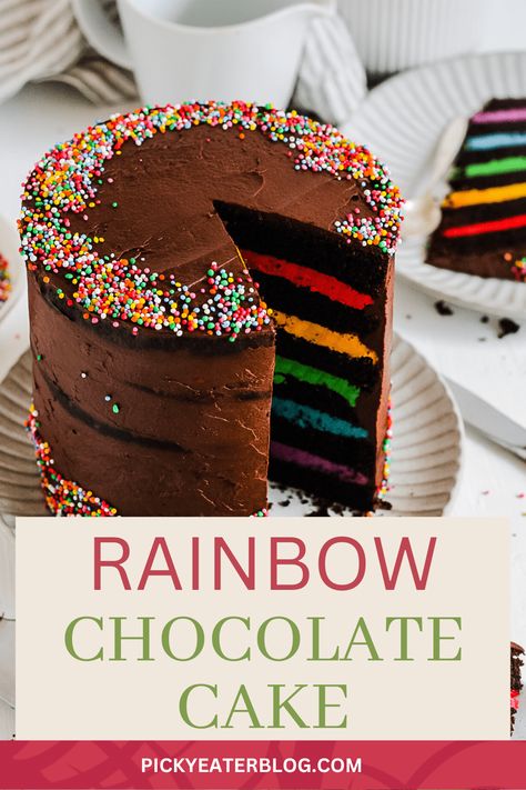 Halloween Rainbow Cake, Chocolate Cake With Rainbow Frosting, Chocolate Cake With Rainbow Sprinkles, Colorful Chocolate Cake, Rainbow Chocolate Cake, Kids Chocolate Birthday Cake, Colorful Cakes Birthday, Chocolate Cake With Sprinkles, 9 Birthday Cake