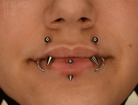 Piercings Alternative, Mouth Piercings, Lip Piercing Jewelry, Piercing Chart, Face Piercings, Cool Piercings, Facial Piercings, Cute Piercings, 10k Followers