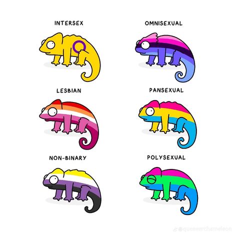 Queer Chameleon, Lgbtq Icons, Pride Decor, Lgbtq Funny, Lgbt Art, Taste The Rainbow, Lgbt Pride, Tattoo Ideas, Humor