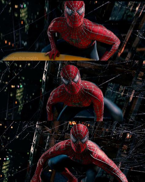 Spider Man 3 2007, Spiderman Trilogy, Raimi Spiderman, Spider Man Trilogy, Real Spiders, Man Moment, Spider Man 3, Tobey Maguire, Sam Raimi