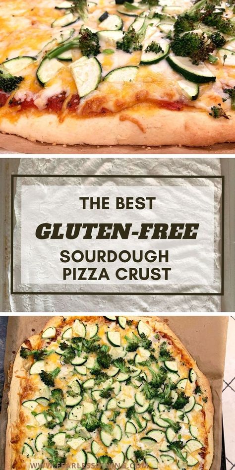 Homemade Gluten Free Pizza Crust, Healthy Gluten Free Pizza Crust, Gluten Free Sourdough Flatbread, Fearless Dining Gluten Free, Gluten Free Dairy Free Pizza Crust, Gluten Free Sourdough Pizza Dough, Gf Sourdough Pizza Crust, Sourdough Starter Gluten Free, Gf Discard Recipes