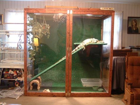 Iguana Enclosure, Iguana Care, Baby Iguana, Lizard Cage, Iguana Cage, Diy Reptile, Bearded Dragon Cage, Diy Bird Toys, Large Lizards