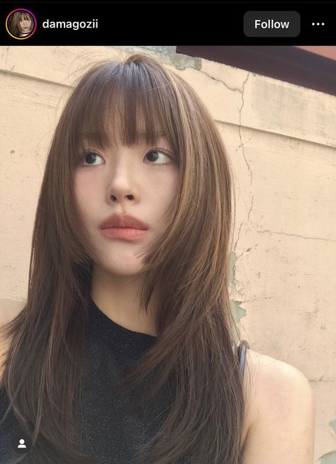 Hime Cut, Hair Doctor, Bangs With Medium Hair, Square Face Shape, Latest Hairstyles, Long Hair Cuts, Hairstyles Haircuts, Trendy Hairstyles, Cut And Color