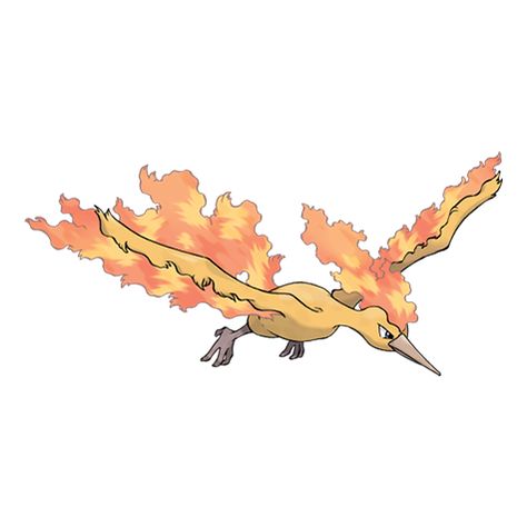 Moltres | Pokédex All 151 Pokemon, Pokemon Fire Red, Moltres Pokemon, Original 151 Pokemon, Pokemon Wiki, Pokemon Original, Bird Pokemon, Gen 1 Pokemon, Pokemon Tv