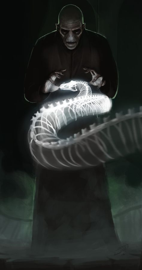 ArtStation - Voldemort and nagini, Felipe Jaramillo Lord Voldemort Fanart, Voldemort Fanart, Character Design Challenge, Harry Potter Tattoos, Harry Potter Artwork, Images Harry Potter, Potter Facts, Lord Voldemort, Harry Potter Crafts