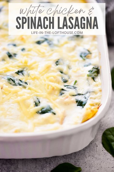 Chicken And Spinach Lasagna, Chicken Spinach Lasagna, Meatless Lasagna, Pizza Pasta Recipe, Chicken Lasagna Recipe, Chicken Alfredo Lasagna, Baked Lasagna, Cheese Lasagna, Chicken Spinach