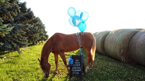 Gender reveal with horse  #horse #genderreveal #babyboy Horse Gender Reveal Ideas, Horse Gender Reveal, Gender Reveal Photoshoot, Reveal Photoshoot, Pregnancy Announcement Pictures, Gender Reveal Baby Shower Themes, Gender Reveal Themes, Cowgirl Wedding