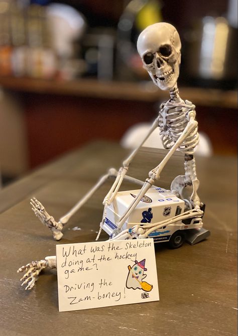 Skeleton On The Shelf Ideas, Hockey Skeleton, Skeleton Ideas, Fun Size, Tiny Humans, Halloween Skeletons, Shelf Ideas, On The Shelf, Office Ideas