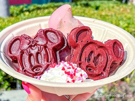 Disney Kitchen Sink Sundae, Mickey Waffle, Mickey Ice Cream Sandwich, Disney Nutella Waffle, Chocolate Swirl Ice Cream, Mickey Cupcakes, Disney World Confectionary, Red Velvet Waffles, Chocolate Cupcakes Filled