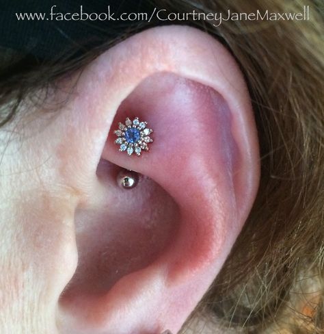 Rook piercing with insanely gorgeous Rose setting in 14k white gold <3 Unique Ear Piercings, Cool Ear Piercings, Gold Body Jewellery, Cool Piercings, Cute Piercings, Daith Piercing, Body Piercings, Piercing Tattoo, Ear Jewelry