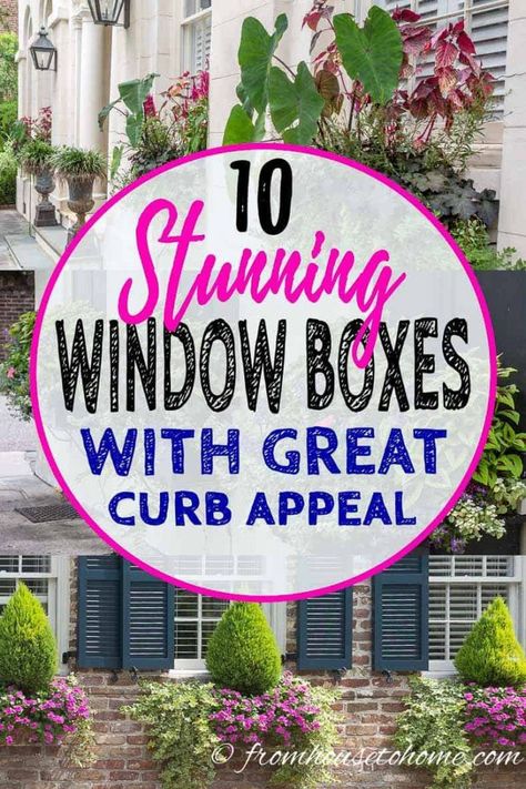 These ideas for window boxes are gorgeous! Whether you are planting them in full sun or shade, there are flower combinations that will work for you and look beautiful all summer long. Full Sun Potted Plants Outdoor Ideas, Window Box Flowers Low Maintenance, Shade Window Box Plants, Full Sun Window Box Ideas, Window Box Flowers For Sun, Window Box Flowers For Shade, Full Sun Container Ideas, Dream Landscaping, Flower Box Ideas