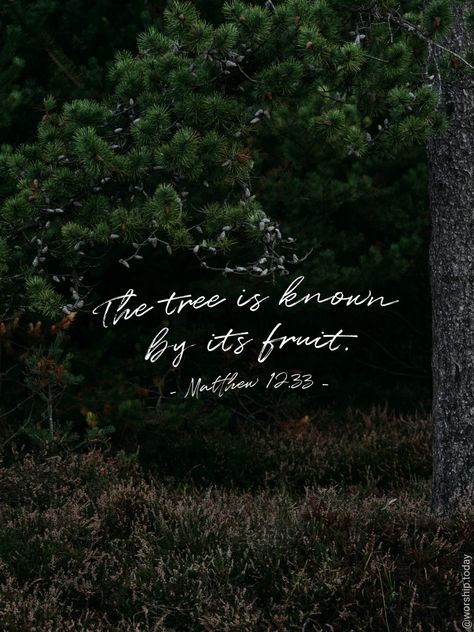 Bible Verse About Trees, Fruitfulness Bible, You Will Know Them By Their Fruit Jesus, Fruit Quotes Inspirational, Fruitful Quotes, Fruit Of The Spirit Tree, Tree Bible Verse, Fruit Quotes, Tree Poem