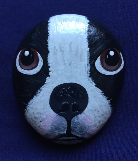 Boston Terrier Painted Rock, Rock Painting Dogs Easy, Dog Rock Painting Ideas, Dog Rock Painting, Pet Rocks Craft, Boston Terrier Painting, Rock Painting Tutorial, Puppy Drawing, Diy Rock Art