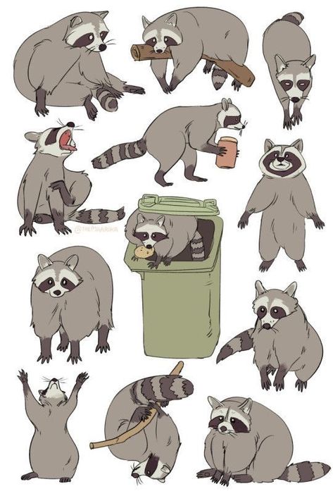 Raccoon Drawing, Raccoon Art, Panda Tattoo, Cute Raccoon, Arte Inspo, Animal Sketches, Racoon, Arte Horror, 영감을 주는 캐릭터