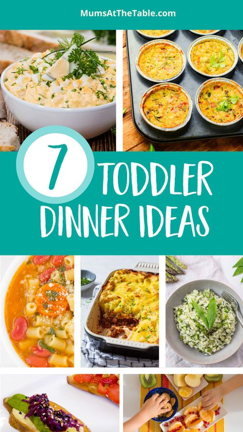 Photos of 7 different toddler dinners Toddler Dinners For Whole Family, Toddler Friendly Dinner Ideas, Easy Toddler Dinner, Healthy Toddler Dinners, Dinner Ideas For Toddlers, Toddler Dinner Ideas Easy, Dinner For Toddlers, Toddler Dinners, Toddler Approved Dinners