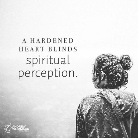 “A hardened heart blinds spiritual perception” (Andrew Wommack). #KWMinistries Hardened Heart Quotes, Hardened Heart, Andrew Wommack, I Am Second, S Quote, Heart Quotes, Homeschool Mom, Boys Clothes, Cute Little Animals