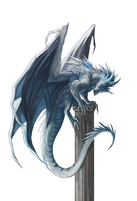 White Wyvern, White Dragon Dnd, Silver Dragon Art, White Dragon Dnd Art, White Wyvern Dragon, White Feathered Dragon Art, Types Of Dragons, Dungeon Master's Guide, Beast Creature