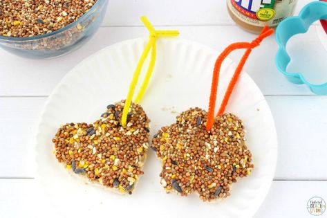 Easy Peanut Butter Bird Treats Kids Can Make - Natural Beach Living Bird Food Ornaments, Bird Seed Crafts, Bird Seed Ornaments Recipe, Bird Feeders For Kids To Make, Seed Ornaments, Seed Craft, Make A Bird Feeder, Bird Seed Ornaments, Bird Feeder Craft