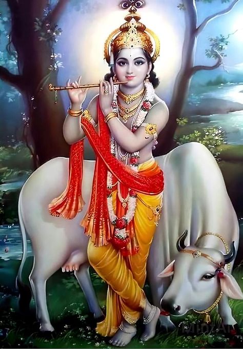 Lord Krishna With Cow, Krishna With Cow, Hare Krishna Hare Krishna, Krishna Avatar, Radha Painting, Shree Radhe, Radha Krishna Quotes, Lord Krishna Hd Wallpaper, Baby Krishna