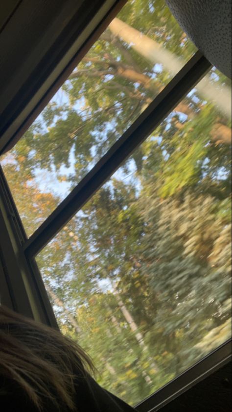 fall bus picture trees nature window Bus Picture, Bus Window, Sunny Pictures, Picture Tree, Trees Nature, Through The Window, Sunny Day, The Window, Sunny Days